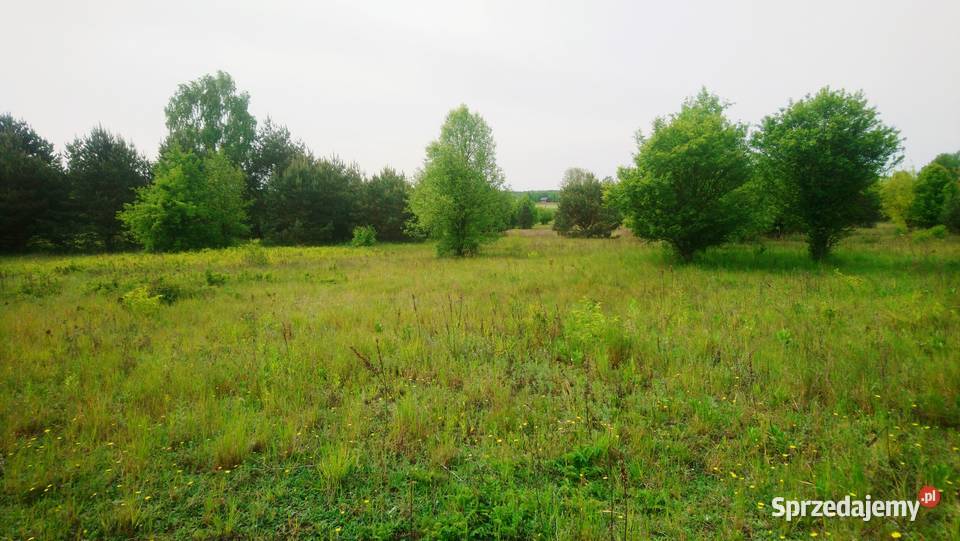 Sprzedam działkę budowlaną o pow 1093 m2 z Popielżyn-Zawady