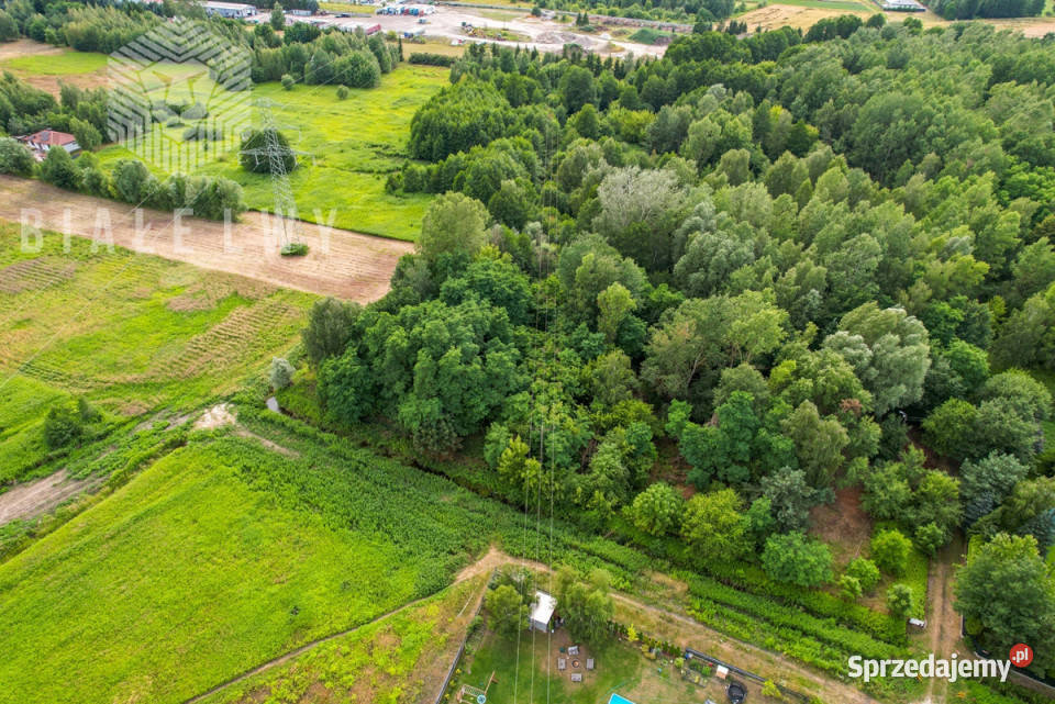 Grunt 1195m2 Wilcza Góra 1195m2 Sprzedaż