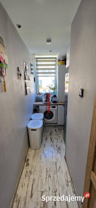 sprzedaży mieszkania 5981m2 3 pok Racibórz własność śląskie