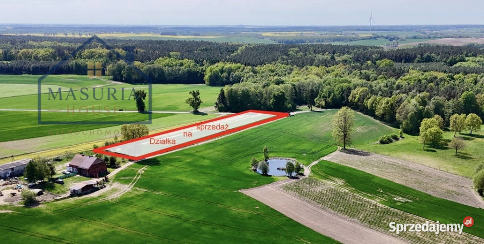 Działka lesie 15 min Iławy i Jezioraka warmińsko-mazurskie Gulb sprzedam