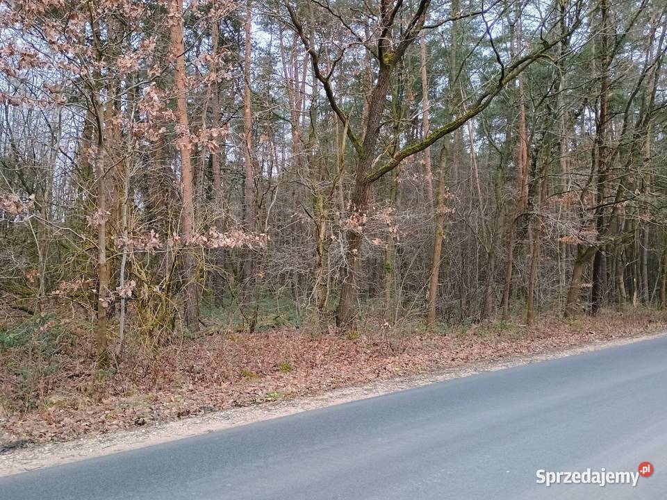 Działka leśna 078h sprzedam