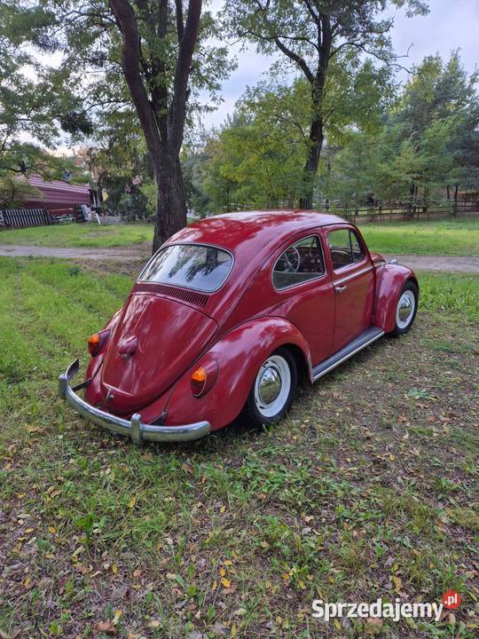 Volkswagen Garbus Dziadek do dopieszczenia 1963 34KM Warszawa