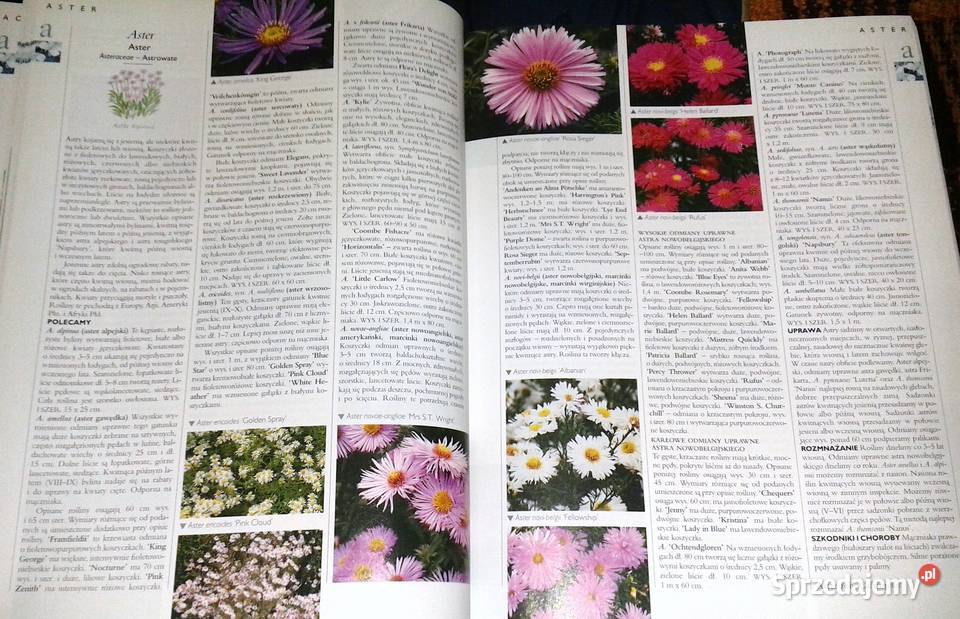 Wielka ilustrowana encyklopedia roślin Pozostałe lubelskie Chełm