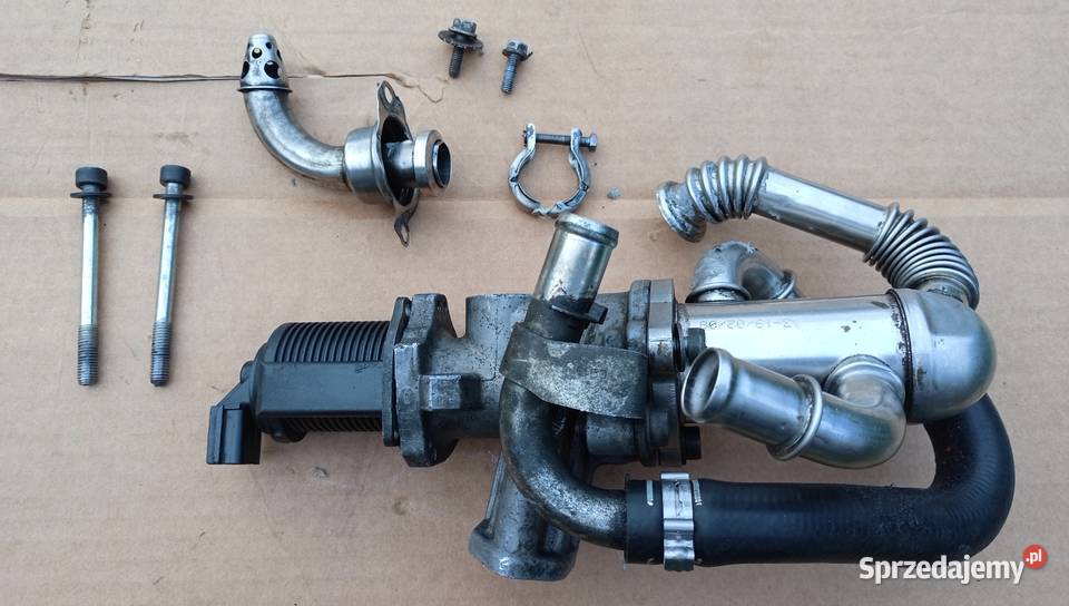 Kompletny zestaw EGR 55201144 do OpelFiatSuzuki osobowe Części samochodowe Katowice