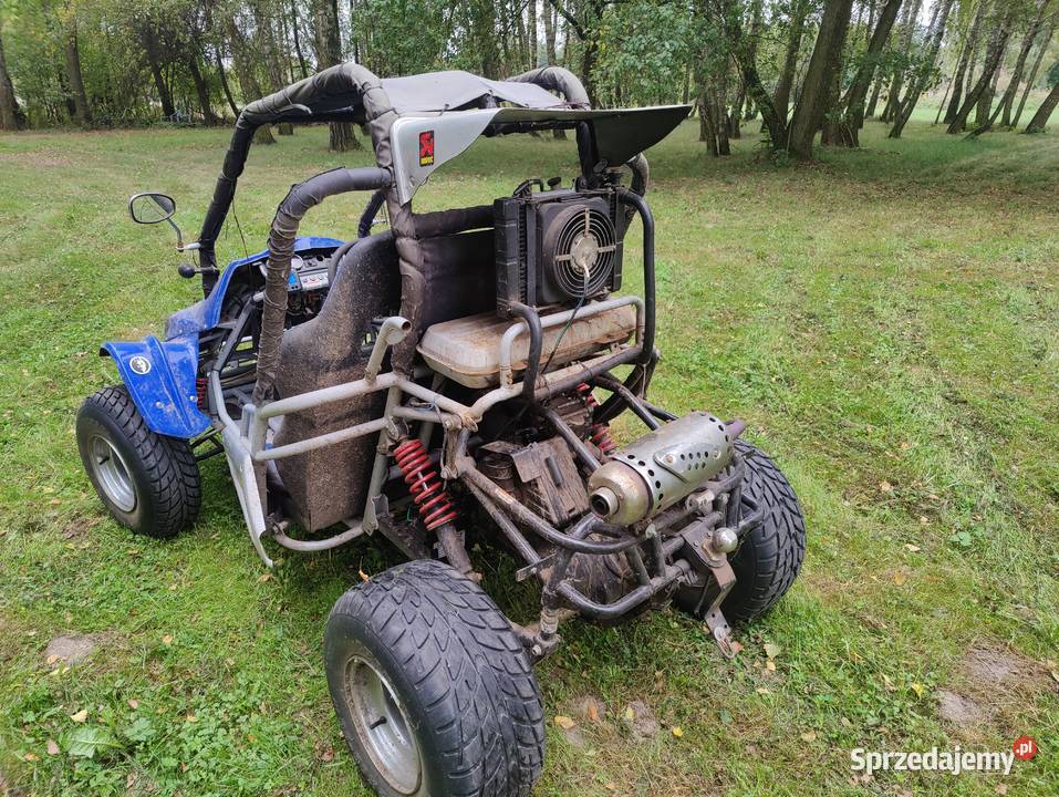 Buggy 250 Motocykle, skutery, quady Poniaty Wielkie sprzedam