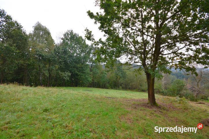 sprzedaży gruntu 12337m2 Nowy Wiśnicz małopolskie sprzedam