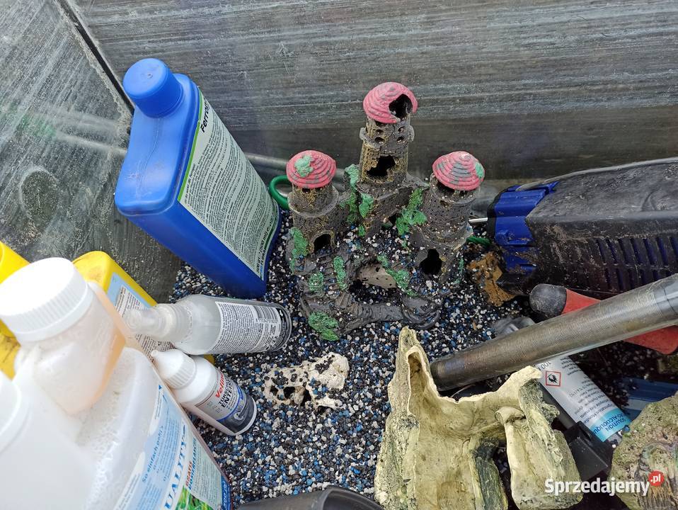 Akwarium z wyposażeniem wielkopolskie Strzyżewo