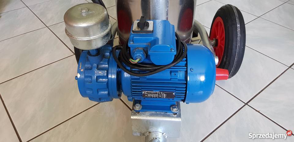 Dojarka Bańkowa Wiśniowa