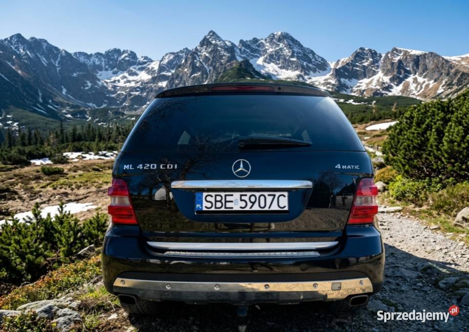 Mercedes ML 420CDI 4Matic Avantgarde Pakiet małopolskie Bochnia