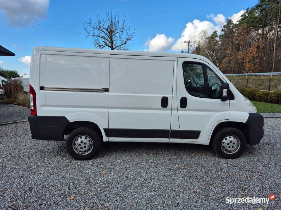 Citron Jumper Super Stan Gwarancja Przebiegu Kazimierz Dolny