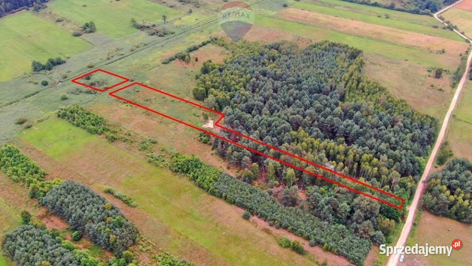 Dwie działki rolne Rudniki k Koniecpola śląskie