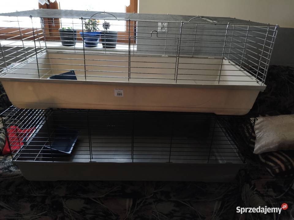 2x Klatka 120 królika świnki morskiej MPS Baldo świętokrzyskie Mirzec