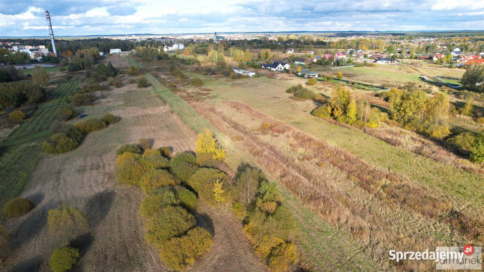 sprzedaży działki 2894 metry Korczów lubelskie