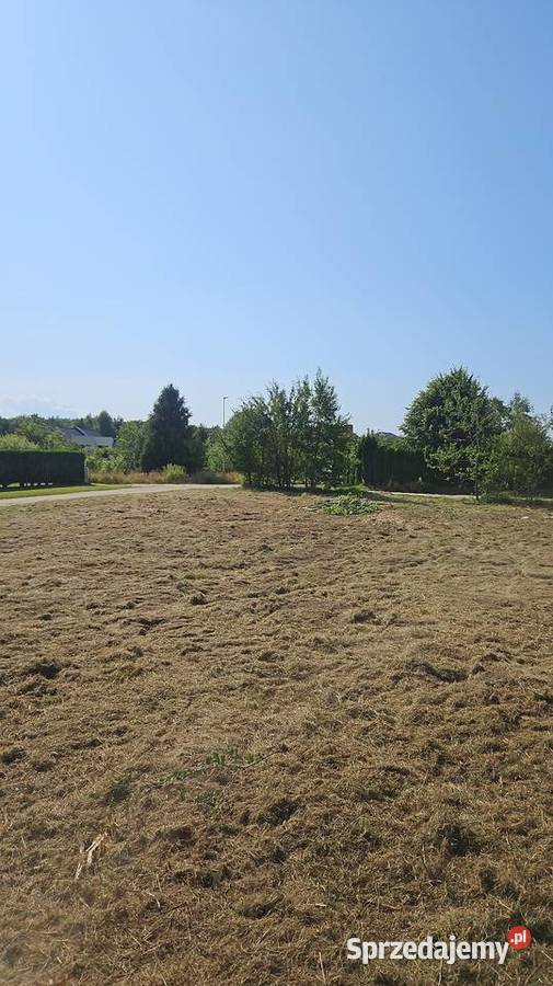 Koszenie działek nieużytków Gdynia ogród