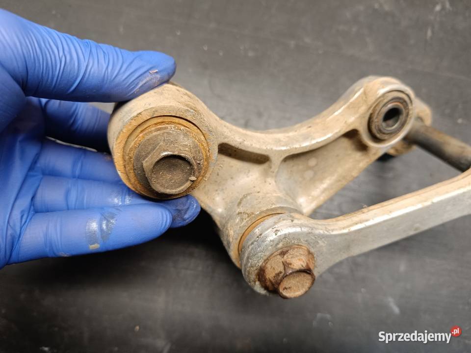 Kiwak kołyska łącznik wahacza kości części małopolskie Gołaczewy