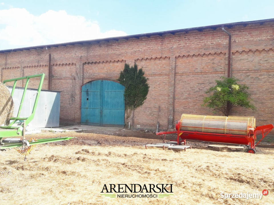OBIEKT KOMERCYJNY NA DUŻEJ DZIAŁCE LIPKI WIELKIE