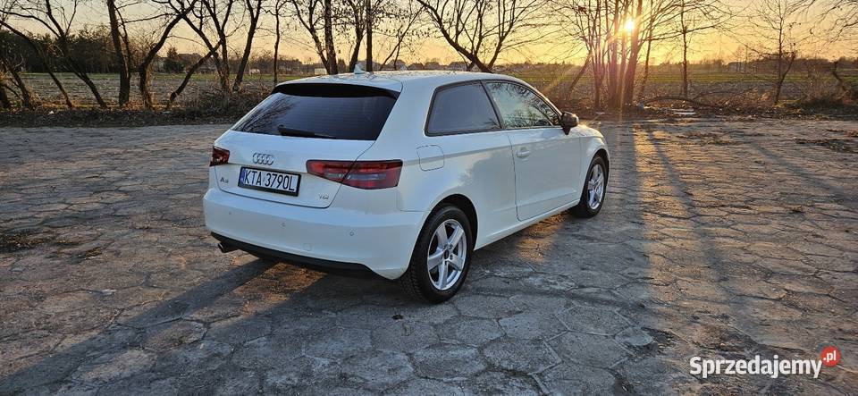 Audi A3 16 TDI 105 6 biegów 167 Łęg Tarnowski