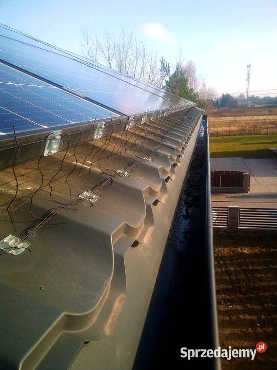 Ochrona systemów fotowoltaicznych przed ptakami Warszawa