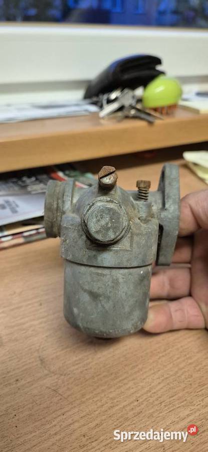 Junak gazela gaznik śląskie