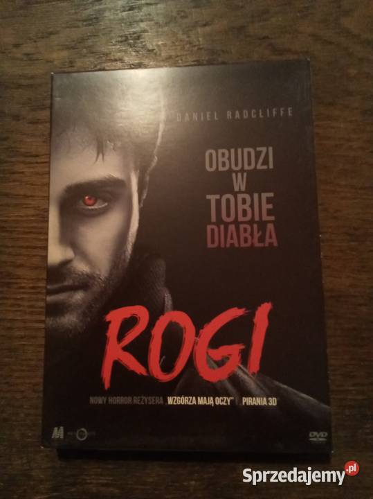 Rogi Film Warszawa