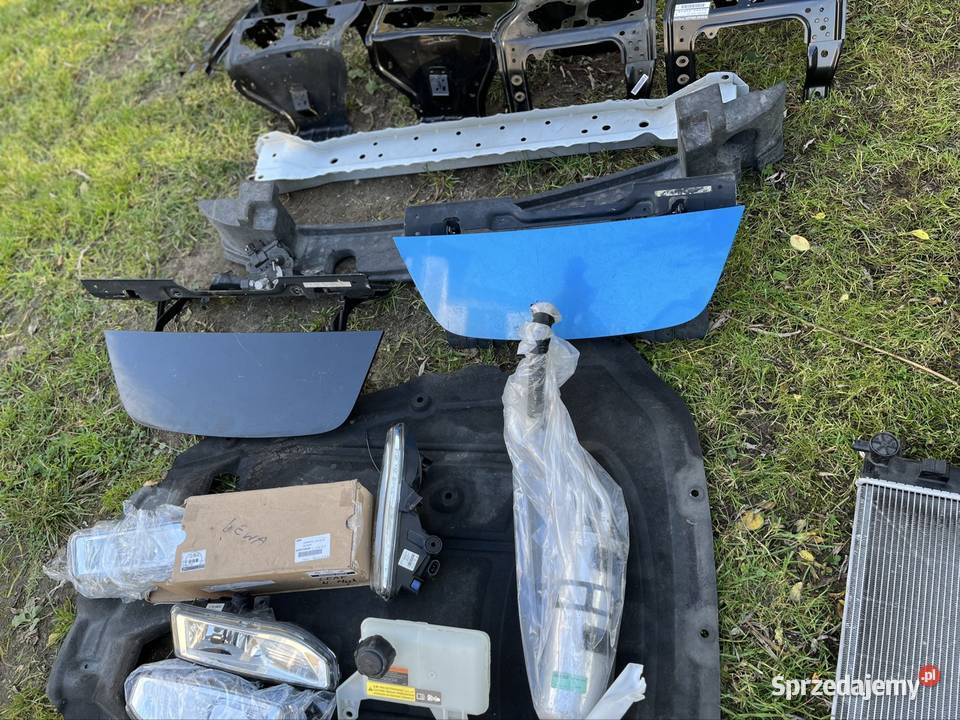 Nissan leaf II Nissan leaf I części Poznań sprzedam