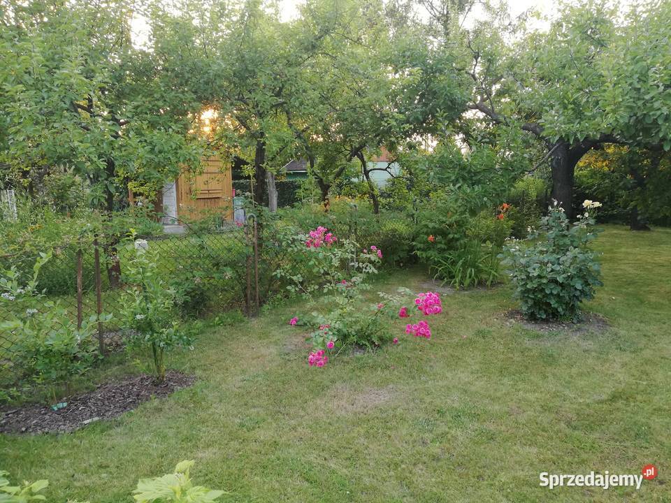 Ogródek działkowy Warszawa Ochota