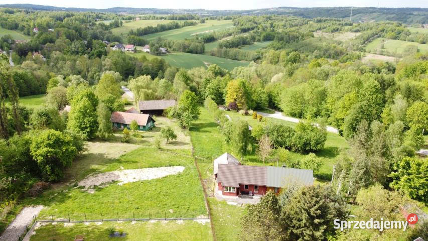 Dom bliźniak Łomna 488m2