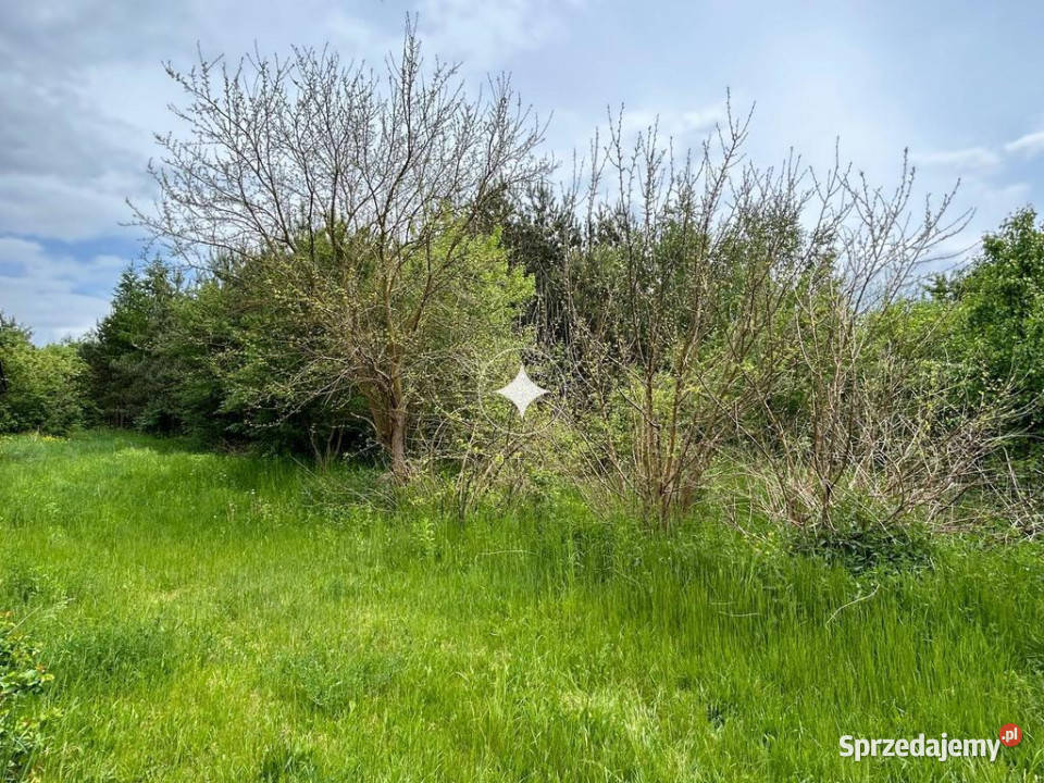 Działka Siedliskowa w Ruskowie 2791m2