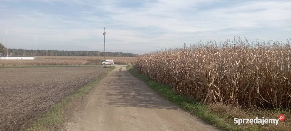 Działka budowlana 750 m Międzyrzecze Przeczna Sprzedaż sprzedam