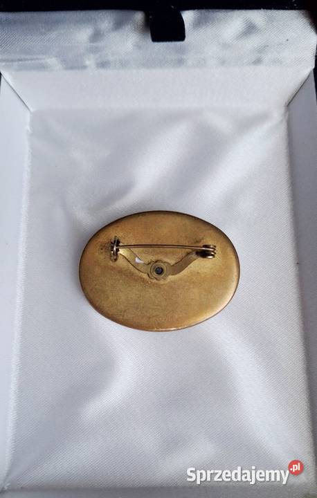 Klasyczny wykwintny broszki Broszki Lublin