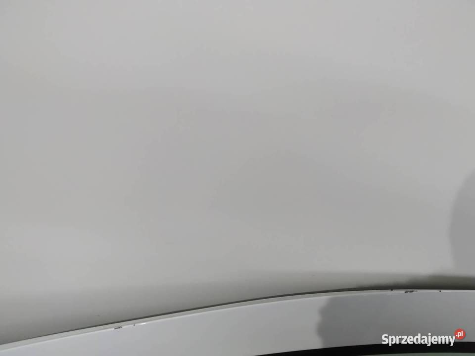 DRZWI LEWE PRZÓD D389 Dacia Dokker I 2012