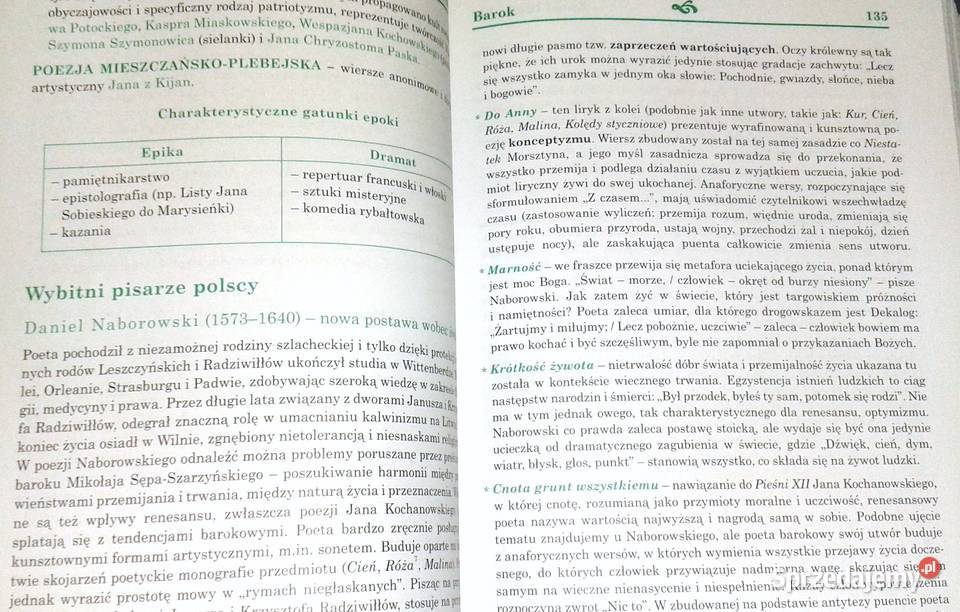 Epoki literackie Joanna LupasRutkowska Chełm sprzedam