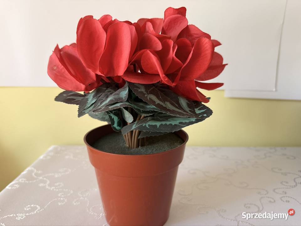 Sztuczny Kwiat Fiołek Alpejski Cyklamen Czerwony Czerwionka-Leszczyny