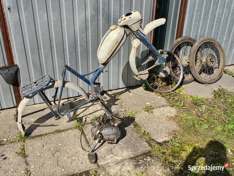 Komar Sztywniak Cześci Suchedniów