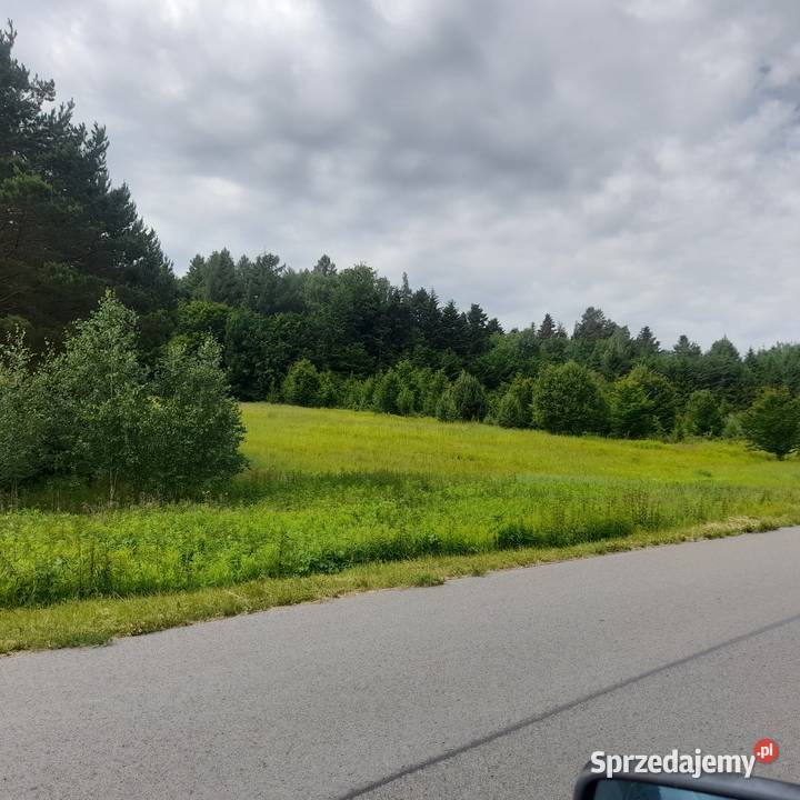 Sprzedam działka 50 ary Ignatówka gmina Biłgoraj