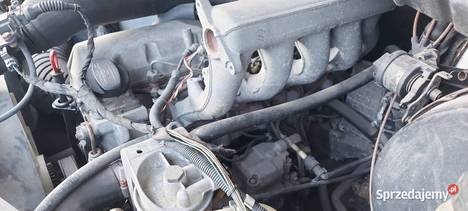 Silnik 29 Mercedes Sprinter Leszno