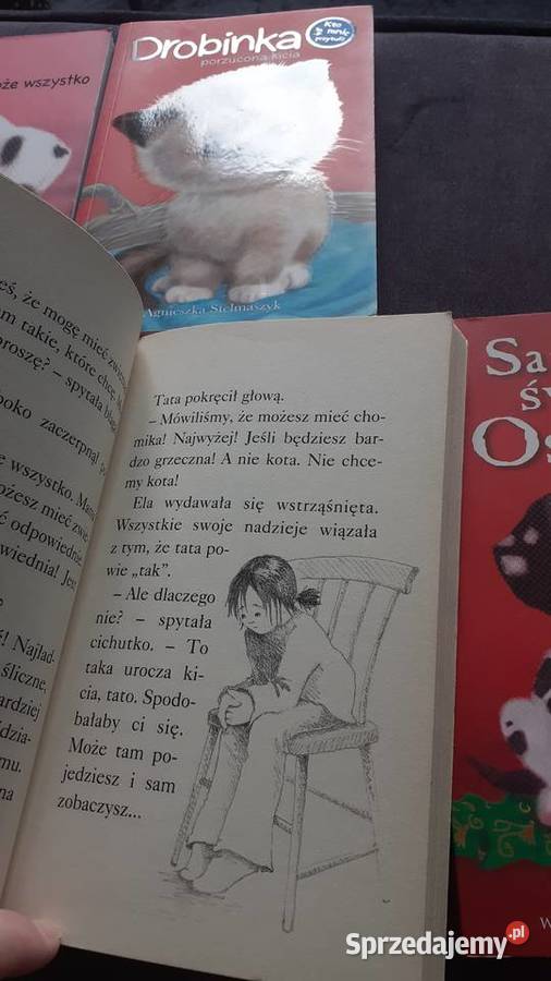 Bruno Lara Drobinka Grafit Figa i inne Zestaw mazowieckie Radom sprzedam