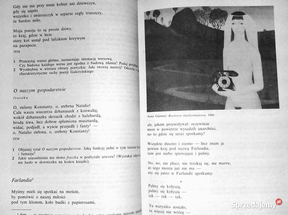 Język polski kl 3 ZDZ Janina Dietrich Chełm sprzedam