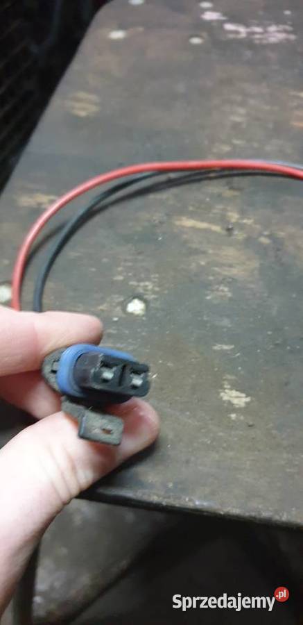 Opornica clio 2 lubelskie Puławy