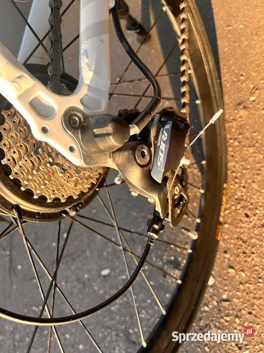 Rower elektrycznyMotus Ootler TormS L Okazja Łódź