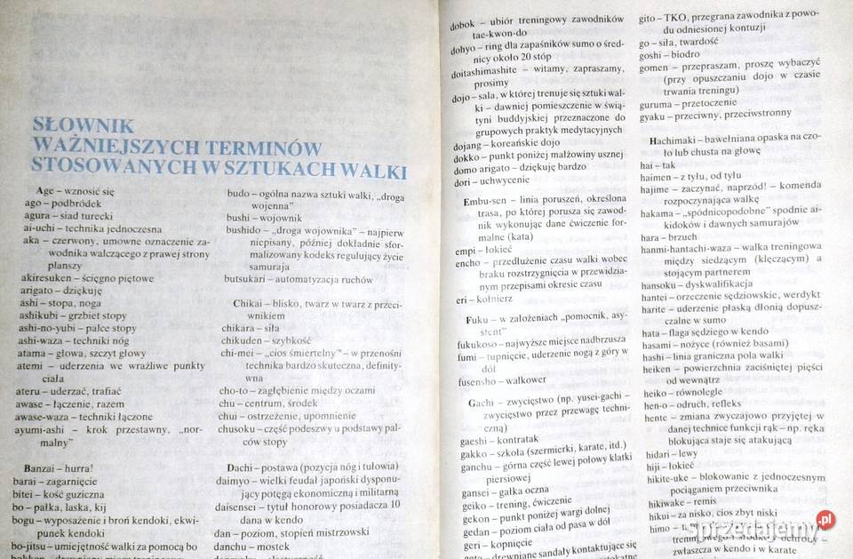 Sztuki i sporty walki dalekiego wschodu Jerzy Chełm