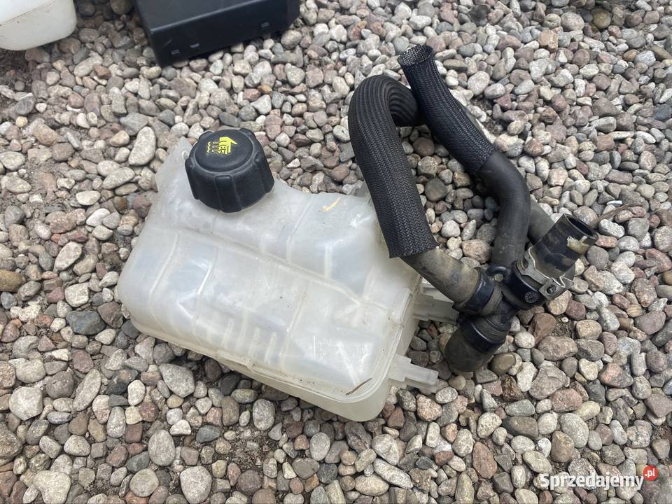 Zbiornik płynu chłodniczego Renault Scenic 3 14 Części samochodowe Luzino