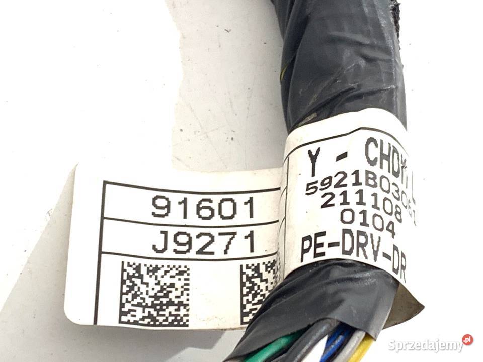 WIĄZKA DRZWI PRZÓD LEWY HYUNDAI KONA 91601J9271 Drzwi sprzedam