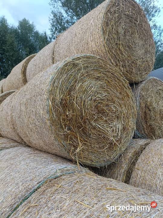 Słoma owsiana Kraków