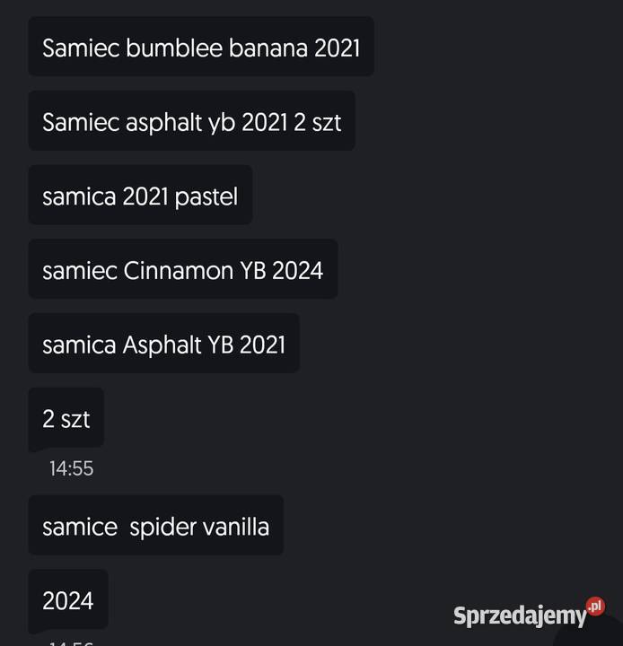 Hodowla pytonów królewskich sprzedam