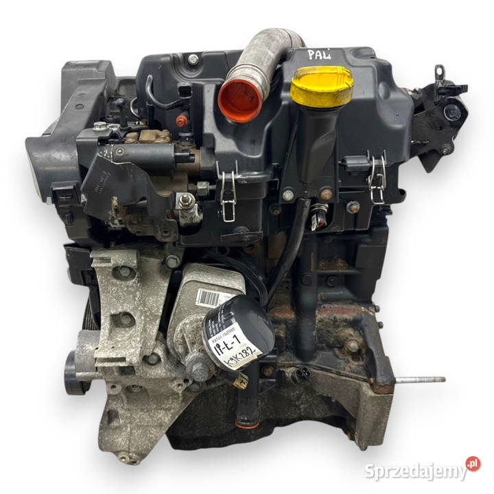 SILNIK K9K282 Nissan Qashqai J10 15 DCI 106 osobowe Chełm