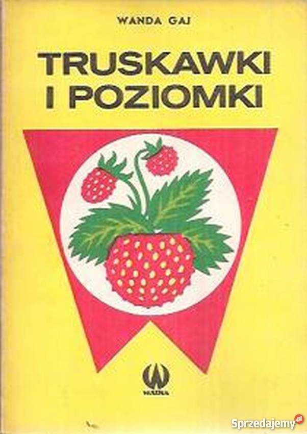 TRUSKAWKI I POZIOMKI POTRAWY I PRZETWORY Rok wydania 1985 Poradniki, albumy i reportaże Gorzów Wielkopolski