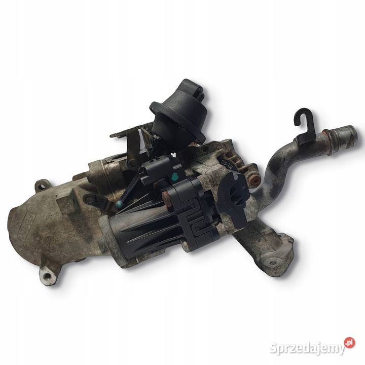 CHŁODNICA SPALIN EGR Ford Focus III 16 TDCI Chełm