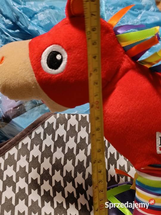 sensoryczna zawieszka Galopujący Poznań