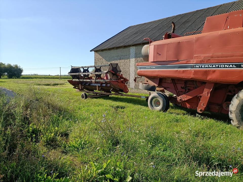 Kombajn Case 1460 z przystawką do kukurydzy kujawsko-pomorskie Lubień Kujawski